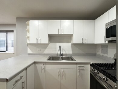 6954 N Sheridan Rd unit 312, Chicago, IL 60626 - photo 5