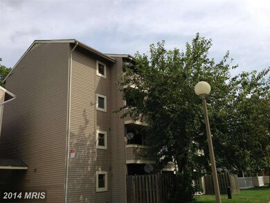 5804 Village Green Dr unit F, Alexandria, VA 22309 - photo 5