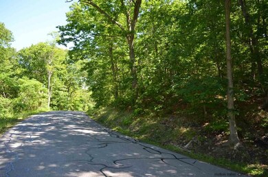 0 North Rd, Milan, NY 12571 - photo 3