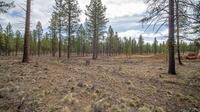 56319 Elk Run Dr, Bend, OR 97707 - photo 5