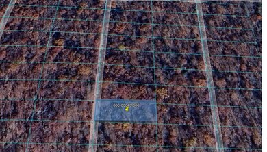 1404 Dewberry Ln, Horseshoe Bend, AR 72512 - photo 7