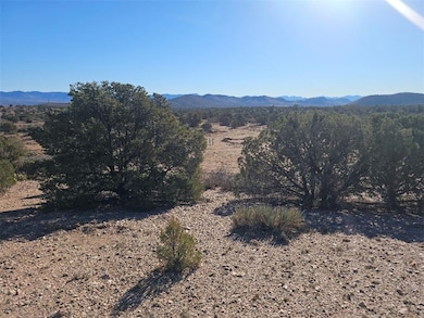 00 Austin Rd, Kingman, AZ 86401 - photo 3