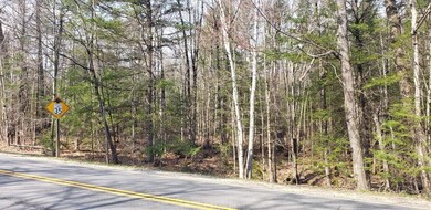 M21 L34A N Bridgton Rd, Bridgton, ME 04009 - photo 4