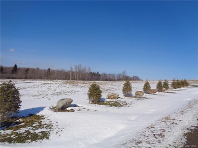 0 Reed Rd unit B1017247, Arcade, NY 14009 - photo 6