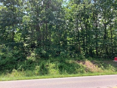 TBD Old Hermitage Rd, Wayne, VA 22980 - photo 3