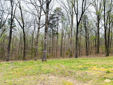 142 Huckleberry Trail, Lafayette, GA 30728 - photo 3