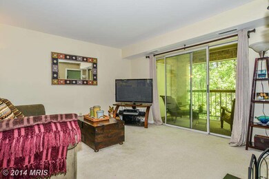 5827 Cove Landing Rd unit 302, Burke, VA 22015 - photo 6