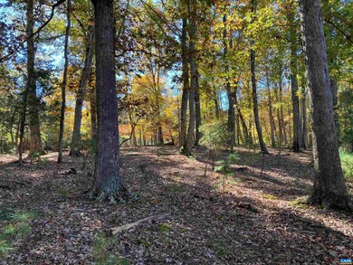 7022 Thomas Jefferson Pkwy, Palmyra, VA 22963 - photo 3