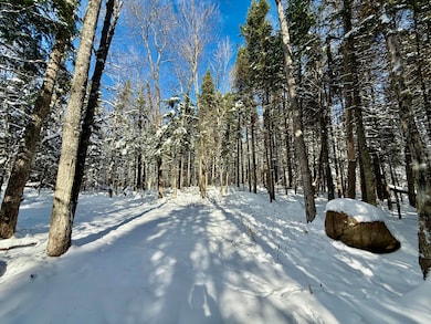 4814 New York 374, Merrill, NY 12955 - photo 5