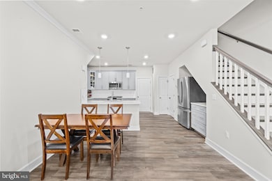 22528 Wilson View Terrace, Ashburn, VA 20148 - photo 7