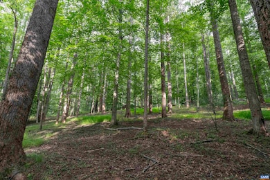 TBD Decca Ln, Charlottesville, VA 22901 - photo 3