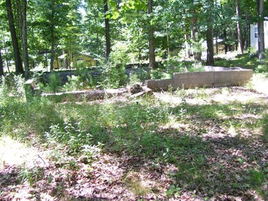 13 1st St, Paupack Township, PA 18428 - photo 6