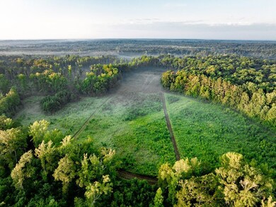 0 Deer Hill Rd unit LotWP001 24553785, Fulton, MS 38843 - photo 7