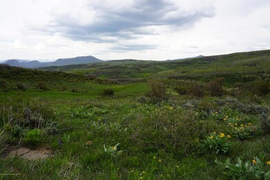 DSC00255