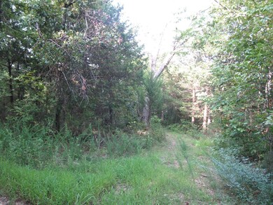 IMG_1351 (Large)