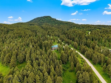 Peaceful, mountain forest setting