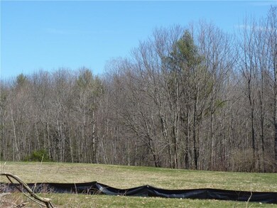 Looking at field from the new road