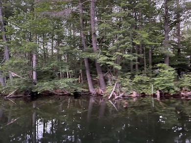 Lot 11 Dillingham Rd, Naples, ME 04055 - photo 2