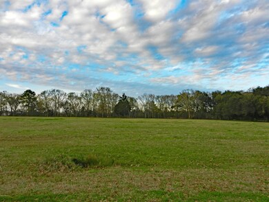 Field03