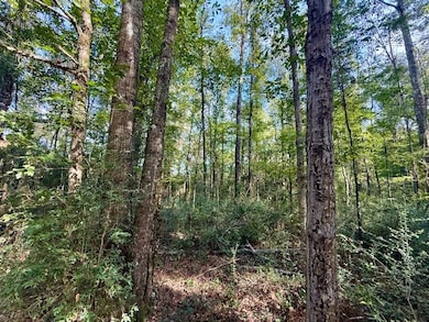 325 Beartown Rd, Jayess, MS 39641 - photo 6