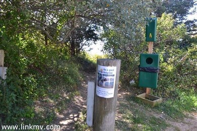 14 Shirley Ave, Oak Bluffs, MA 02557 - photo 4