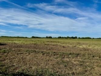 View of nature with a rural view