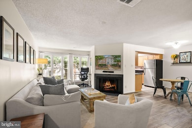 12116 Greenway Ct unit 202, Fairfax, VA 22033 - photo 3