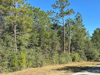 Parcel A Bear Head Rd, Crestview, FL 32539 - photo 2