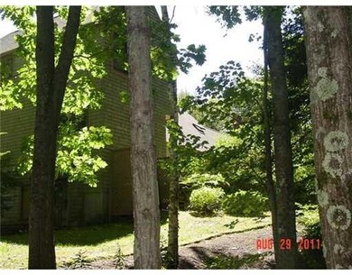 Yard/Garden.