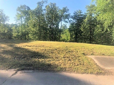 4106 Water Oak Dr, Texarkana, AR 71854 - photo 5