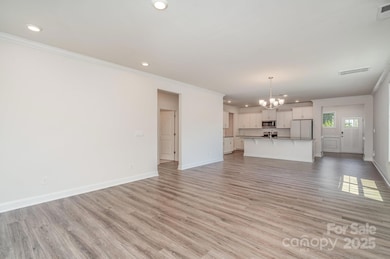 4237 Plumeria Way, Indian Land, SC 29707 - photo 6