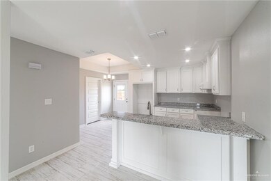 814 Dove St, Alamo, TX 78516 - photo 5