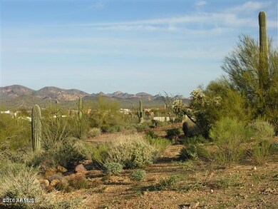 Lost Dutchman mtn views