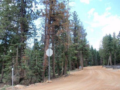 Access Road Treated for Dust Control