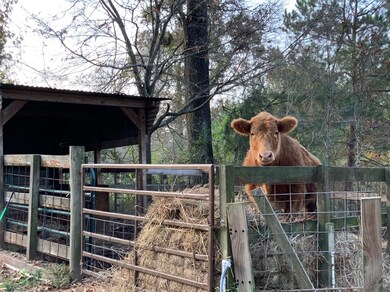 10 County Road 3813, Cleveland, TX 77328 - photo 7