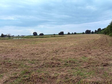 3500 Blk N Riceland Rd unit Tracts A/B, Rayne, LA 70578 - photo 7