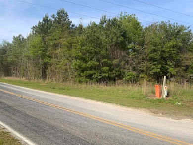 TBD McNeil Chapel Rd, Loris, SC 29569 - photo 2