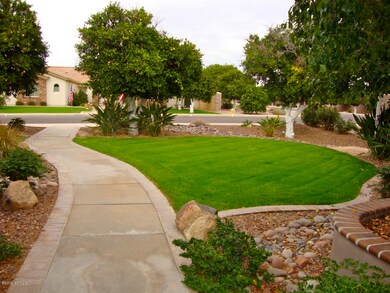 Professional Landscaping