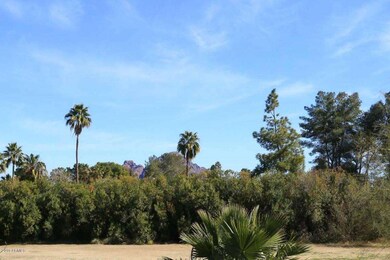Camelback View