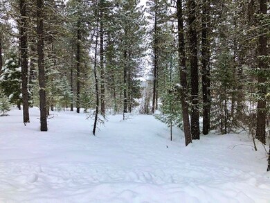 B24, L5 Vardon Rd unit 5, New Meadows, ID 83654 - photo 7