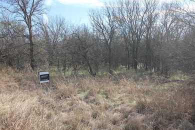 Lot 21 Cheyenne Dr, Bridgeport, TX 76426 - photo 4