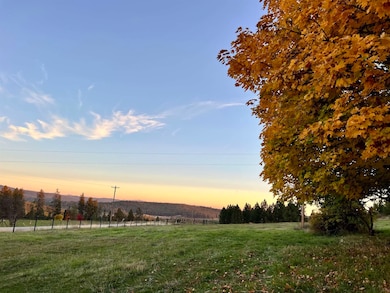 29411 N Dunn Rd, Chattaroy, WA 99003 - photo 2