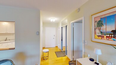 Sargent Estates unit 110, Brookline, MA 02445 - photo 4