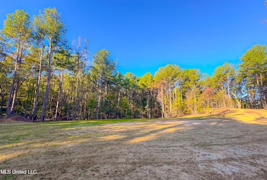0 Mount Leopard Rd, Flora, MS 39071 - photo 6