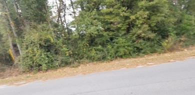 00000 N Lemacks St, Walterboro, SC 29488 - photo 4