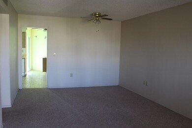 13802 N Silverbell Dr, Sun City, AZ 85351 - photo 7