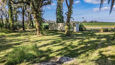 18113 672 Hwy, Lithia, FL 33547 - photo 4