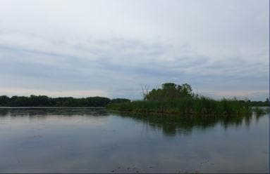 6151 20th Ave, Lino Lakes, MN 55038 - photo 5