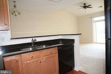 6161 Willow Place unit 302, Bealeton, VA 22712 - photo 6