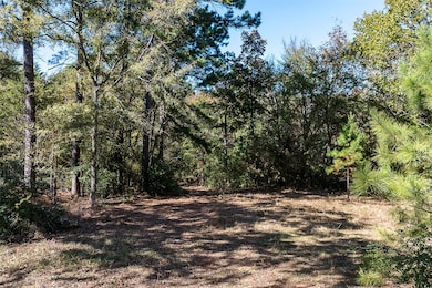 13793 An County Road 404, Palestine, TX 75803 - photo 6